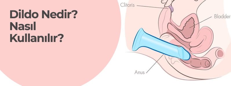 Dildo Nasıl Kullanılır: İlk Kez Kullanacaklar İçin Pratik Rehber 1 Dildo Nasıl Kullanılır: İlk Kez Kullanacaklar İçin Pratik Rehber