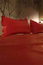NOXXX PVC Kırmızı Yatak Örtüsü - 220 x 200 cm - Görsel 2