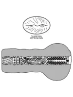 LoveToy Alien's Vajina Mastürbatör 2 – 23 cm - Görsel 4