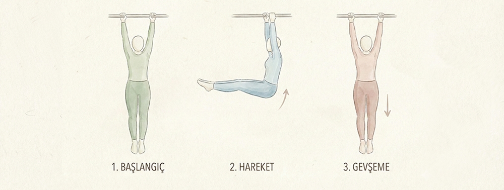 Asılı Bacak Kaldırma Egzersizİ İllüstrasyonu