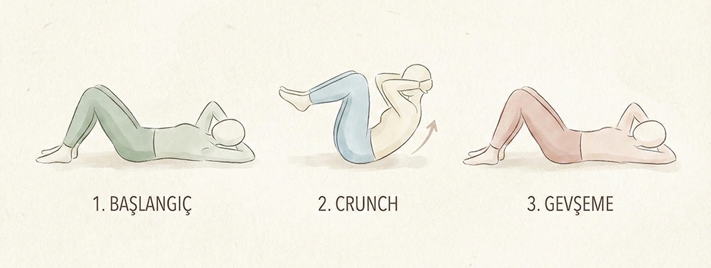 Crunch Egzersiz Adımları İllüstrasyonu