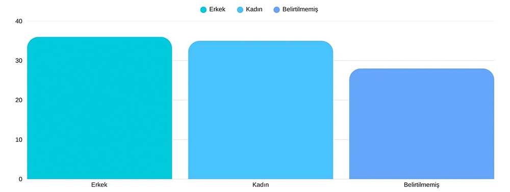 2025 yılı Türkiye'de cinsiyete göre seks oyuncakları satışı grafiği